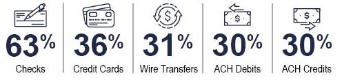 Payment Fraud Targets